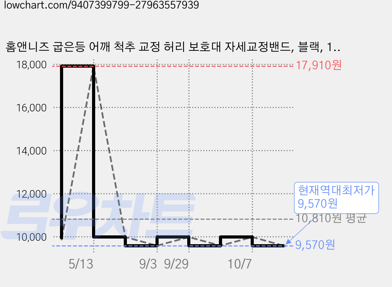 홈앤니즈 굽은등 어깨 척추 교정 허리 보호대 자세교정밴드, 블랙, 1개 가격 변동 차트, 현재가 9,570원, 역대최저가
