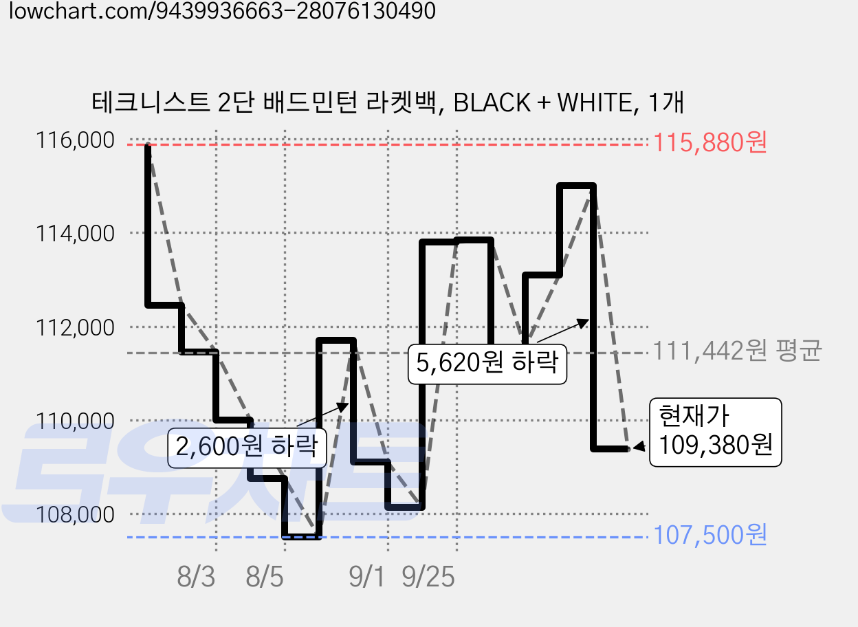 테크니스트 2단 배드민턴 라켓백, BLACK + WHITE, 1개 가격 변동 차트, 현재가 109,380원, 관측 최저가 107,500원