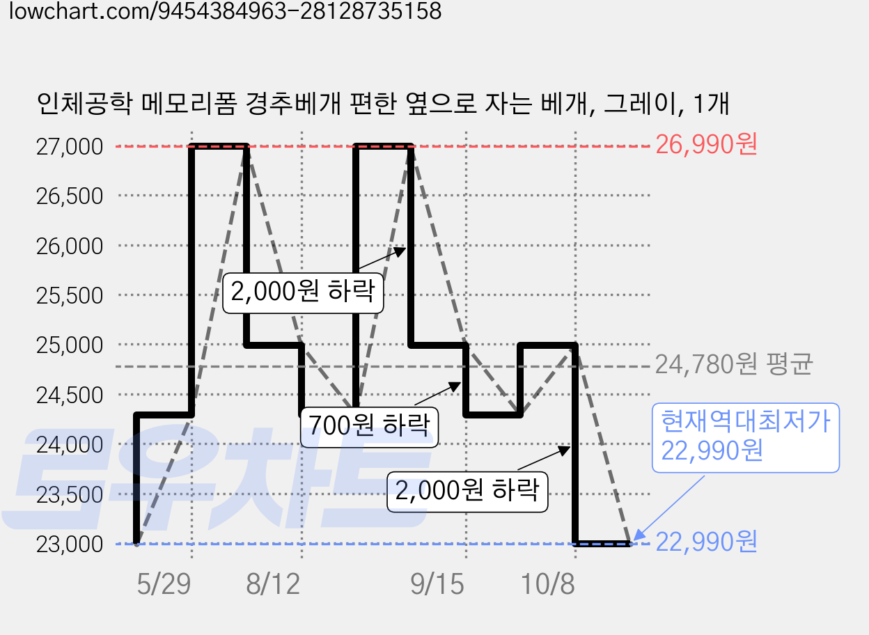 인체공학 메모리폼 경추베개 편한 옆으로 자는 베개, 그레이, 1개 가격 변동 차트, 현재가 22,990원, 역대최저가