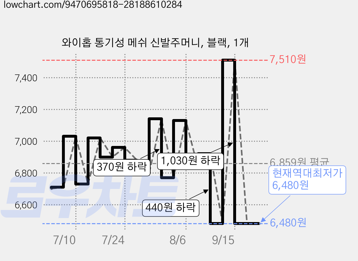 와이홉 통기성 메쉬 신발주머니, 블랙, 1개 가격 변동 차트, 현재가 6,480원, 역대최저가
