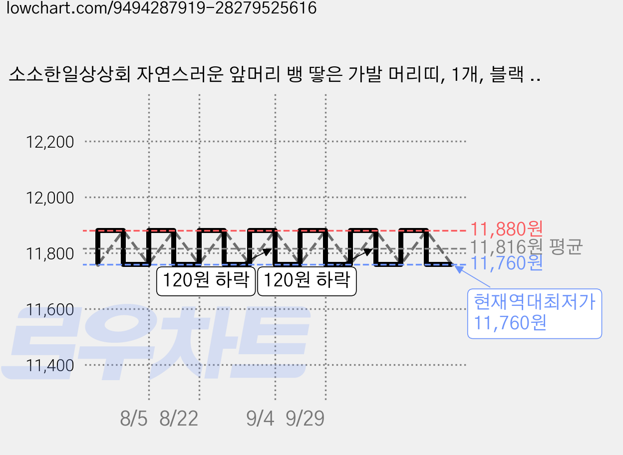 소소한일상상회 자연스러운 앞머리 뱅 땋은 가발 머리띠, 1개, 블랙 브라운 가격 변동 차트, 현재가 11,760원, 역대최저가
