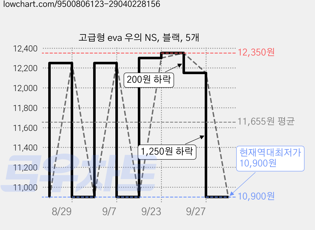 고급형 eva 우의 NS, 블랙, 5개 가격 변동 차트, 현재가 10,900원, 역대최저가