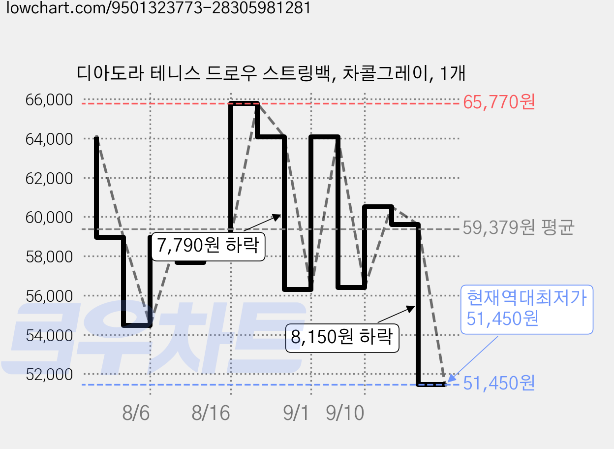 디아도라 테니스 드로우 스트링백, 차콜그레이, 1개 가격 변동 차트, 현재가 51,450원, 역대최저가