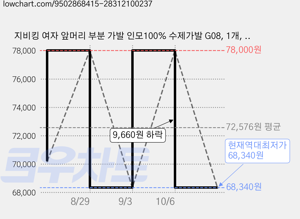 지비킹 여자 앞머리 부분 가발 인모100% 수제가발 G08, 1개, 자연블랙 가격 변동 차트, 현재가 68,340원, 역대최저가