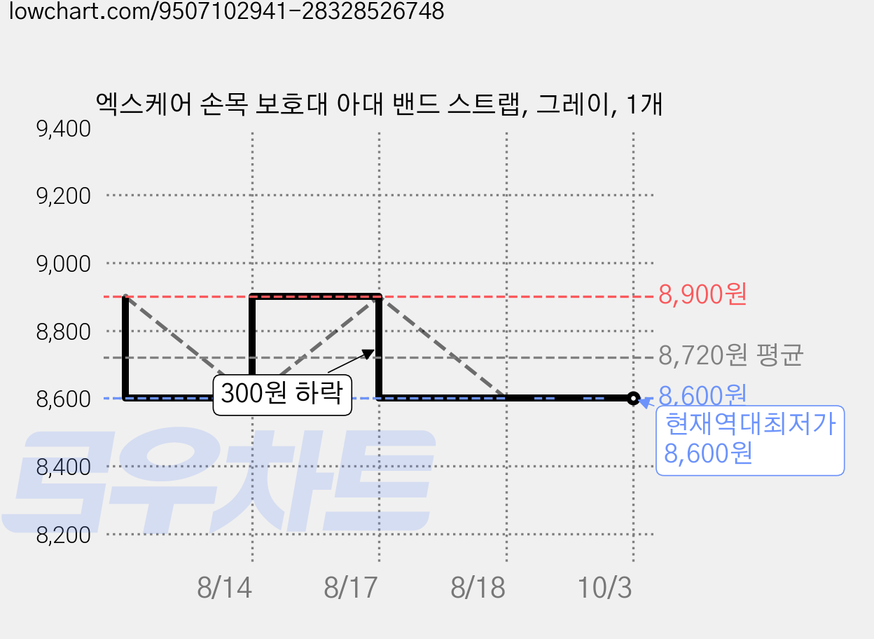 엑스케어 손목 보호대 아대 밴드 스트랩, 그레이, 1개 가격 변동 차트, 현재가 8,600원, 역대최저가