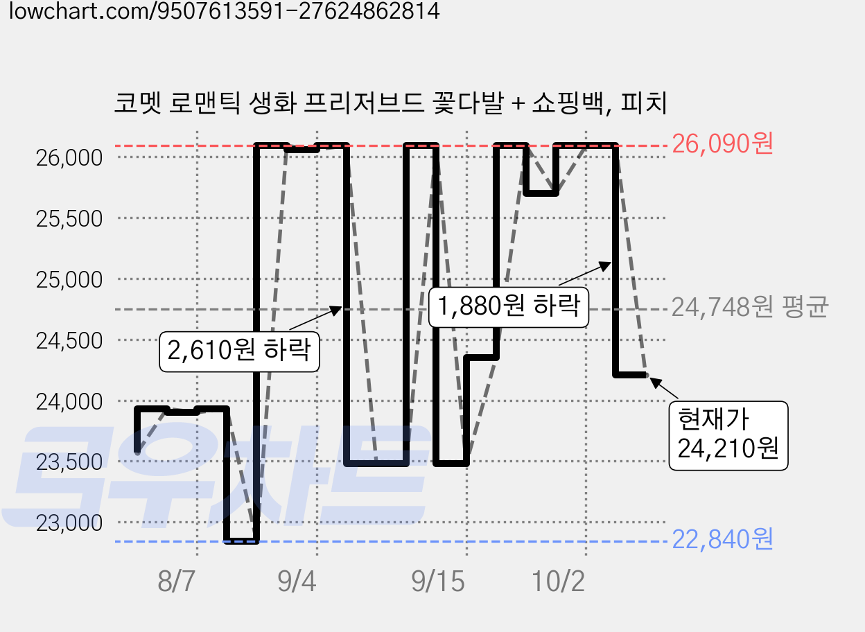 코멧 로맨틱 생화 프리저브드 꽃다발 + 쇼핑백, 피치 가격 변동 차트, 현재가 24,210원, 관측 최저가 22,840원
