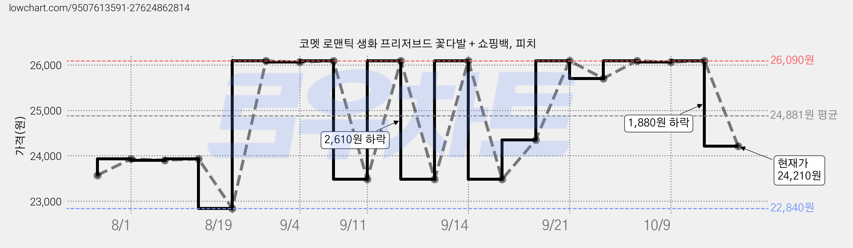 코멧 로맨틱 생화 프리저브드 꽃다발 + 쇼핑백, 피치 가격 변동 차트, 현재가 24,210원, 관측 최저가 22,840원