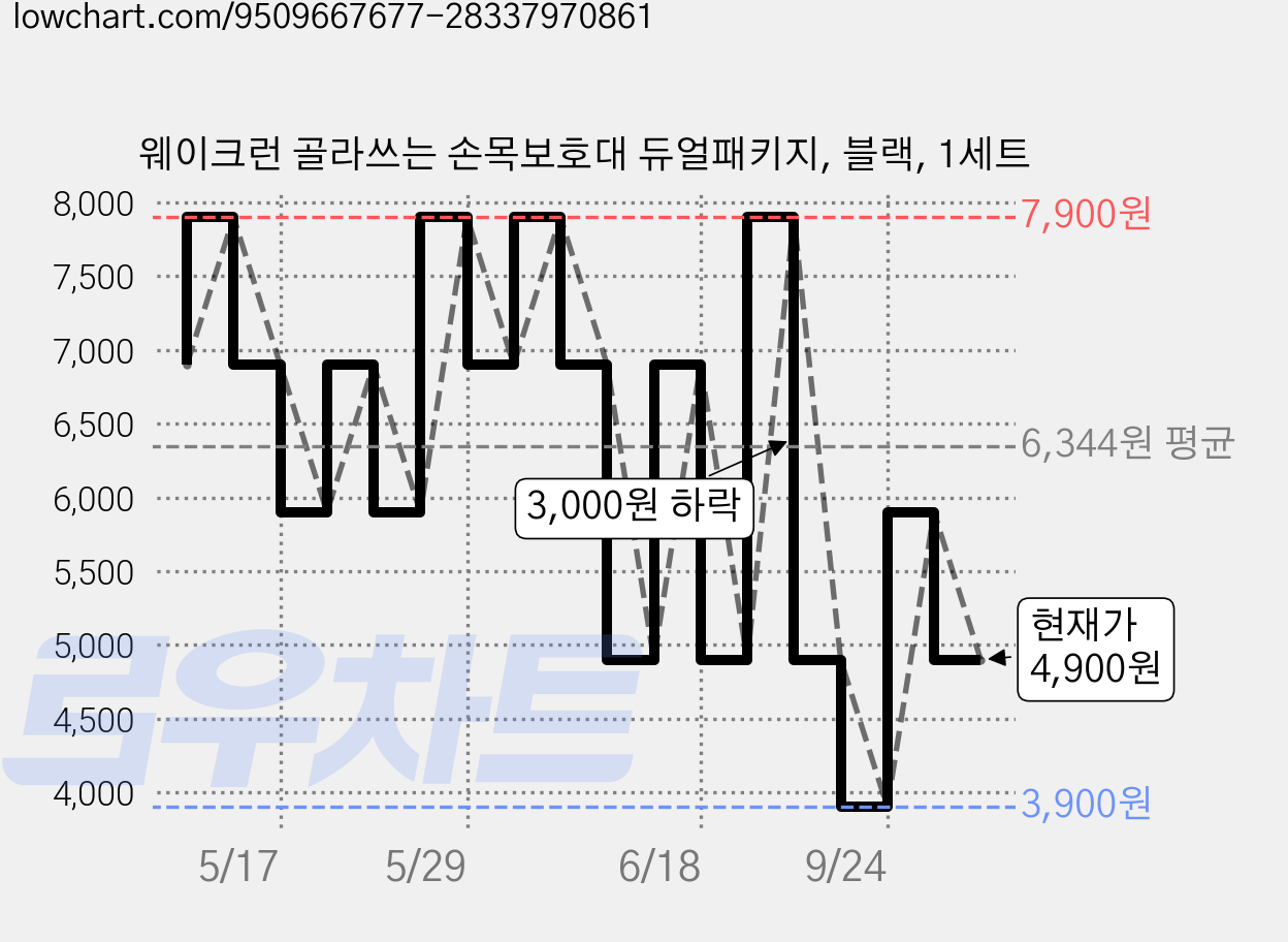 웨이크런 골라쓰는 손목보호대 듀얼패키지, 블랙, 1세트 가격 변동 차트, 현재가 4,900원, 관측 최저가 3,900원