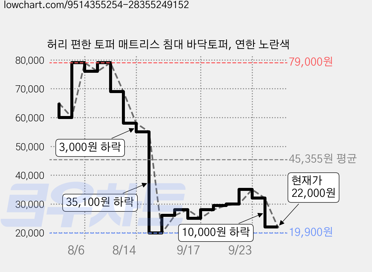 허리 편한 토퍼 매트리스 침대 바닥토퍼, 연한 노란색 가격 변동 차트, 현재가 22,000원, 관측 최저가 19,900원