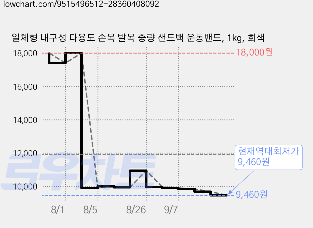 일체형 내구성 다용도 손목 발목 중량 샌드백 운동밴드, 1kg, 회색 가격 변동 차트, 현재가 9,460원, 역대최저가