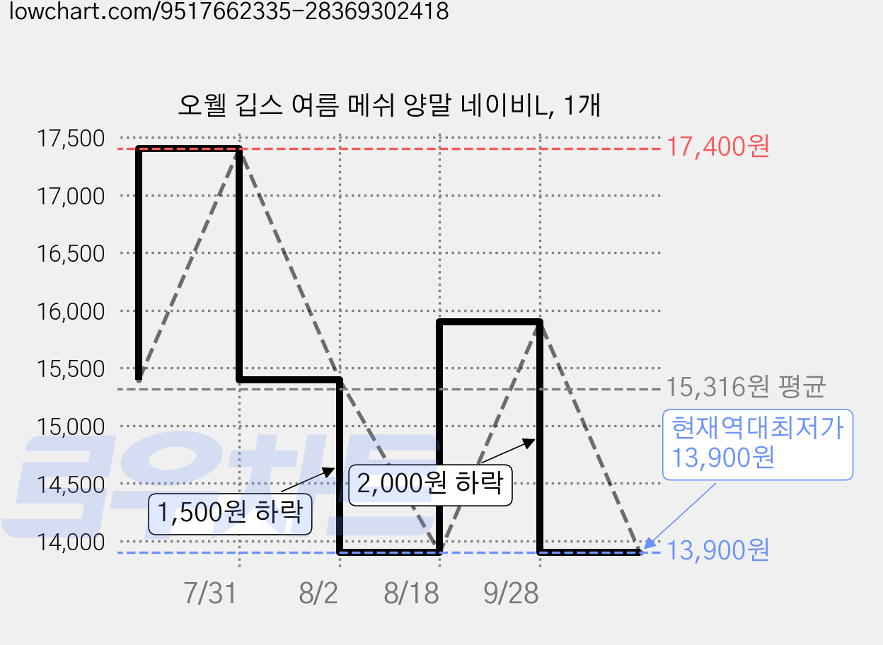 오웰 깁스 여름 메쉬 양말 네이비L, 1개 가격 변동 차트, 현재가 13,900원, 역대최저가