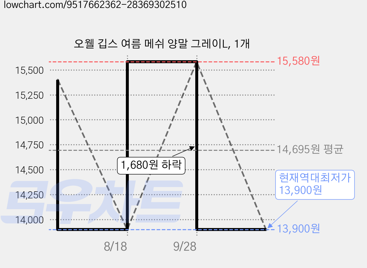 오웰 깁스 여름 메쉬 양말 그레이L, 1개 가격 변동 차트, 현재가 13,900원, 역대최저가