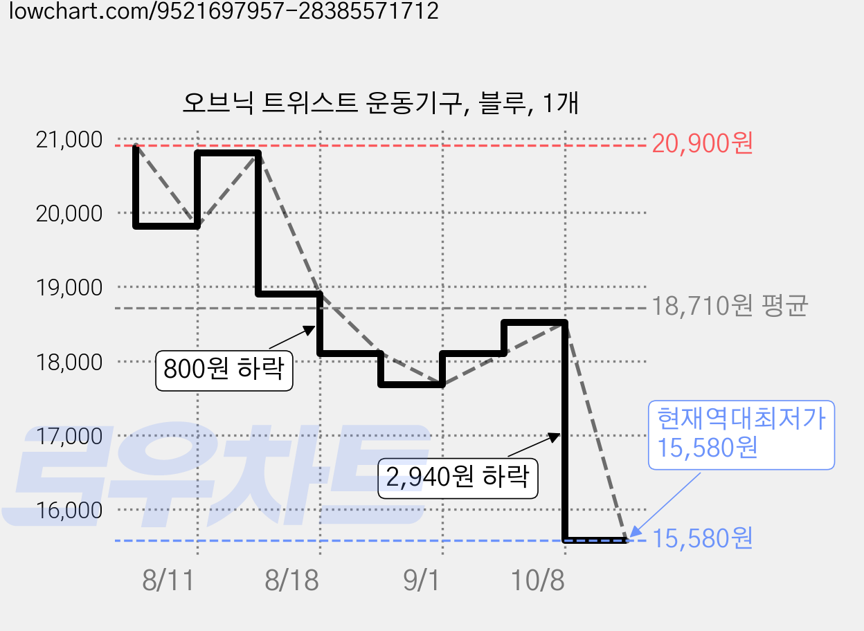오브닉 트위스트 운동기구, 블루, 1개 가격 변동 차트, 현재가 15,580원, 역대최저가