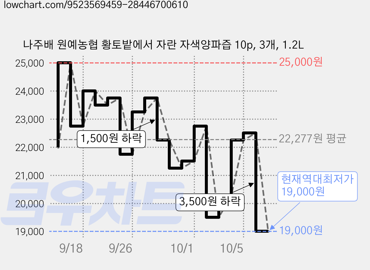 나주배 원예농협 황토밭에서 자란 자색양파즙 10p, 3개, 1.2L 가격 변동 차트, 현재가 19,000원, 역대최저가