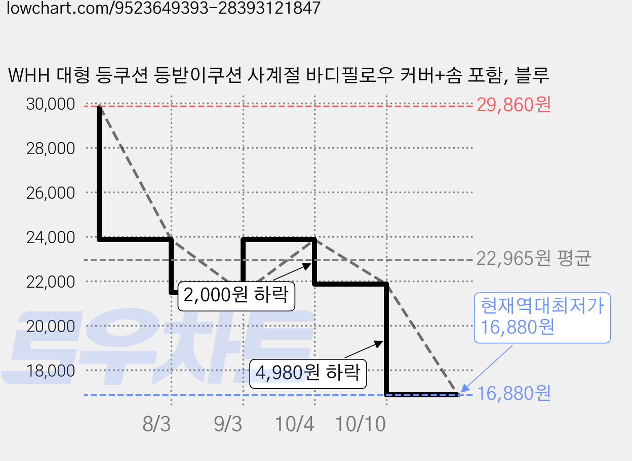 WHH 대형 등쿠션 등받이쿠션 사계절 바디필로우 커버+솜 포함, 블루 가격 변동 차트, 현재가 16,880원, 역대최저가