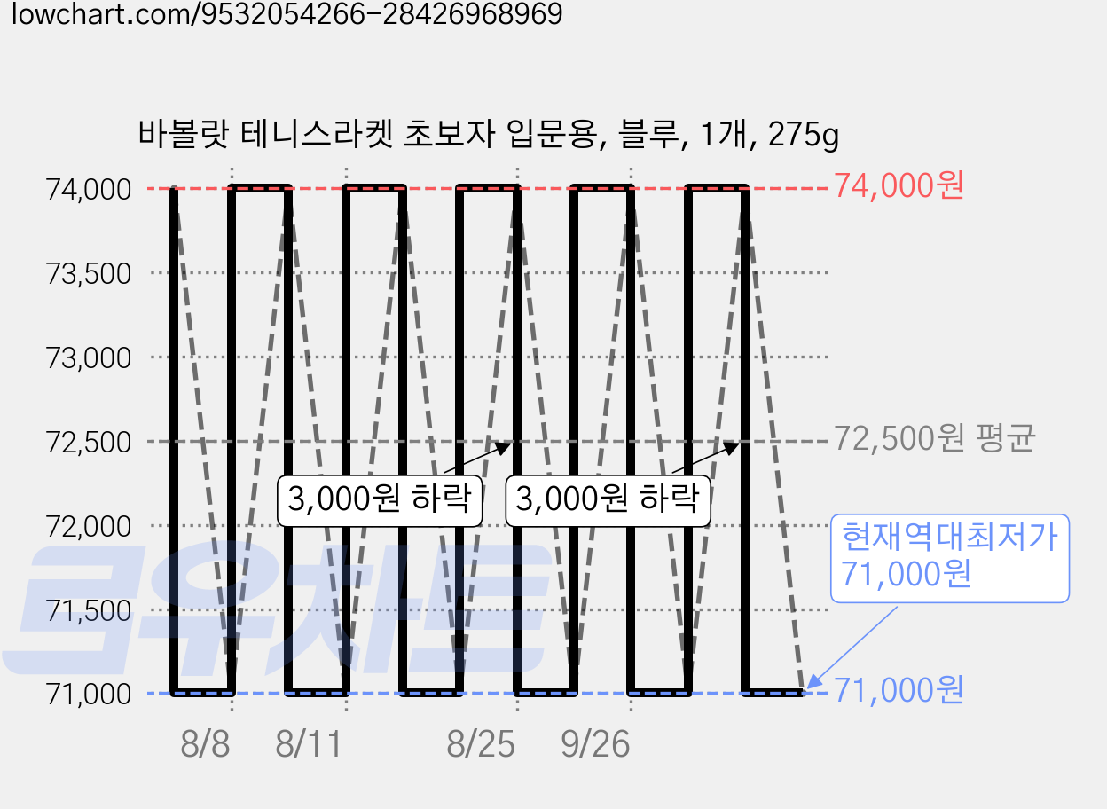 바볼랏 테니스라켓 초보자 입문용, 블루, 1개, 275g 가격 변동 차트, 현재가 71,000원, 역대최저가