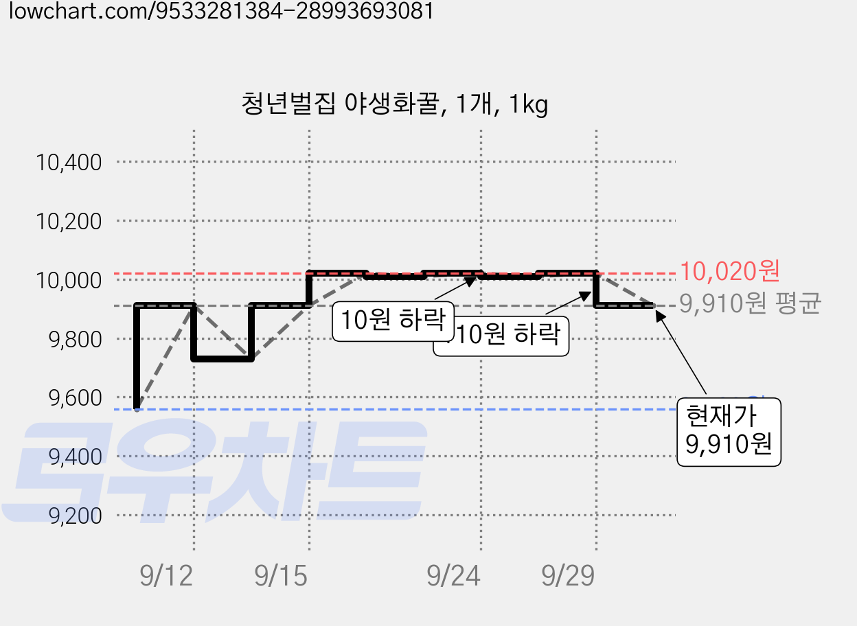 청년벌집 야생화꿀, 1개, 1kg 가격 변동 차트, 현재가 9,910원, 관측 최저가 9,560원