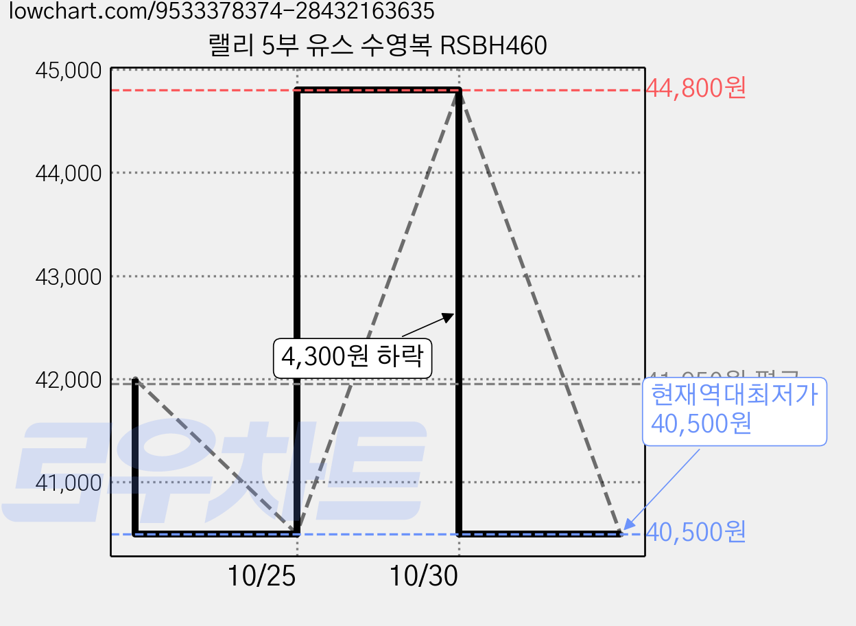 랠리 5부 유스 수영복 RSBH460 가격 변동 차트, 현재가 40,500원, 역대최저가