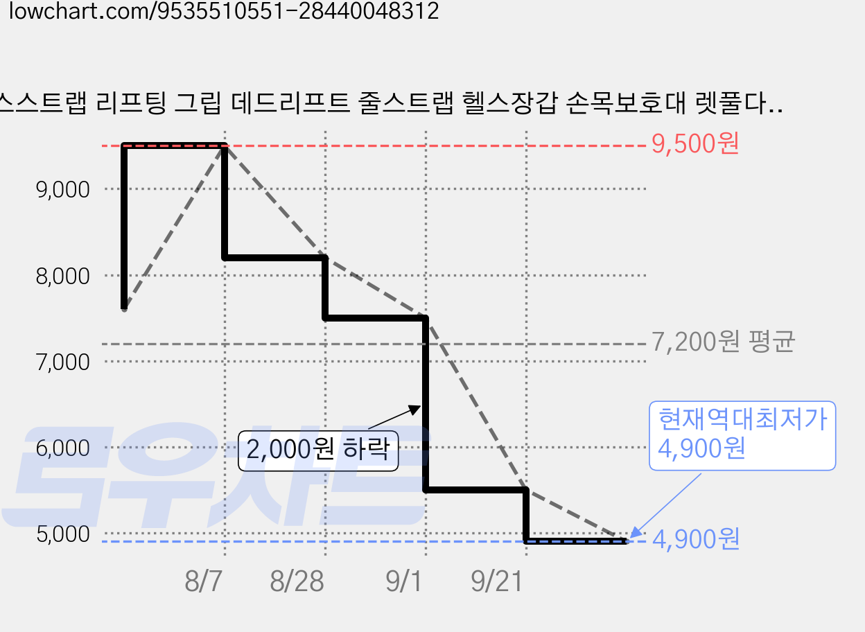 헬스스트랩 리프팅 그립 데드리프트 줄스트랩 헬스장갑 손목보호대 렛풀다운, 1세트, 검은색 가격 변동 차트, 현재가 4,900원, 역대최저가