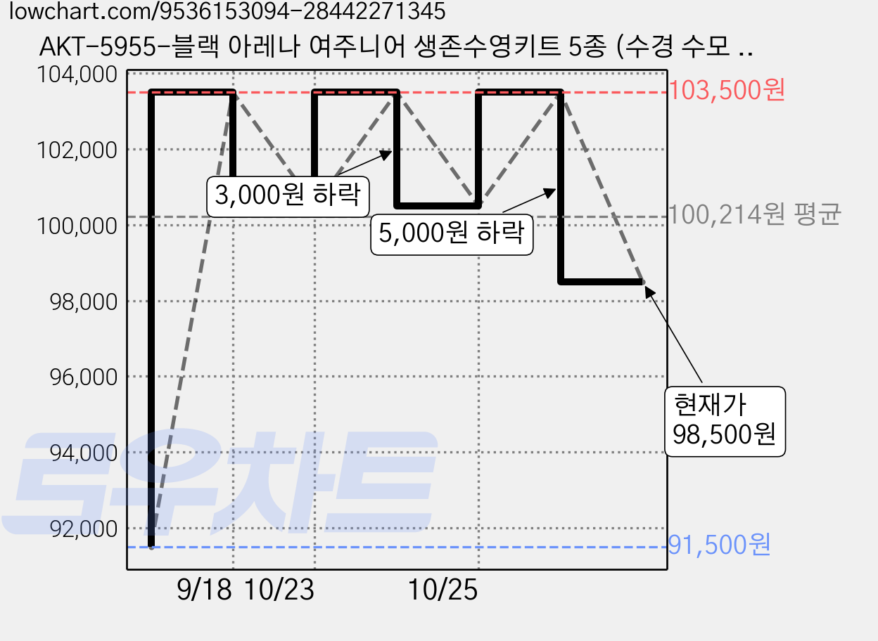 AKT-5955-블랙 아레나 여주니어 생존수영키트 5종 (수경 수모 수영복 메쉬가방 타올 폴리백 세트) 가격 변동 차트, 현재가 98,500원, 관측 최저가 91,500원