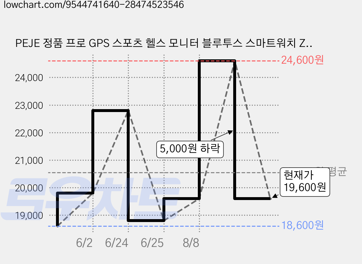 PEJE 정품 프로 GPS 스포츠 헬스 모니터 블루투스 스마트워치 ZW02 ZL50J, 검정색, 4.9cm, GPS + 블루투스 가격 변동 차트, 현재가 19,600원, 관측 최저가 18,600원