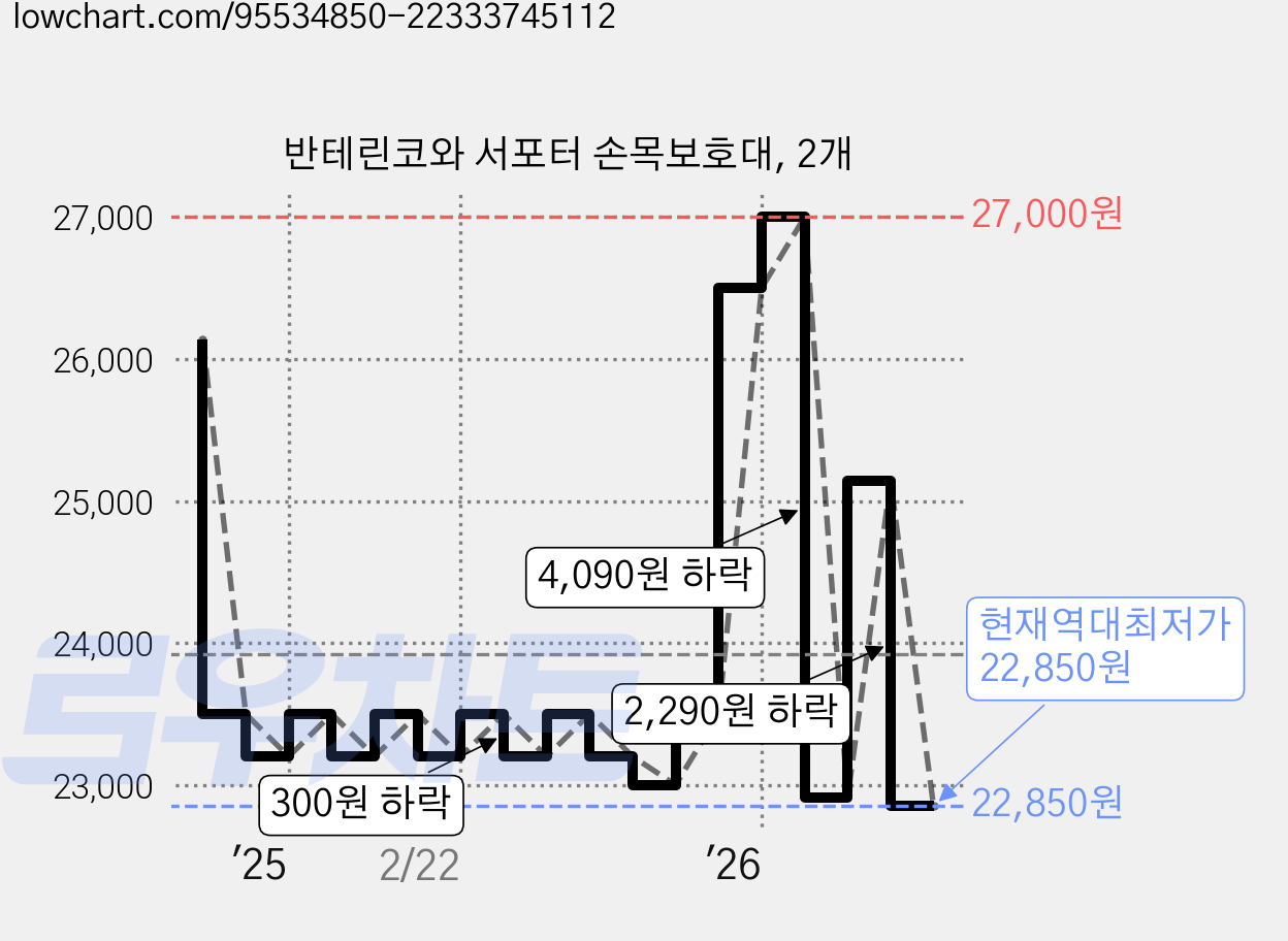 반테린코와 서포터 손목보호대, 2개 가격 변동 차트, 현재가 22,850원, 역대최저가