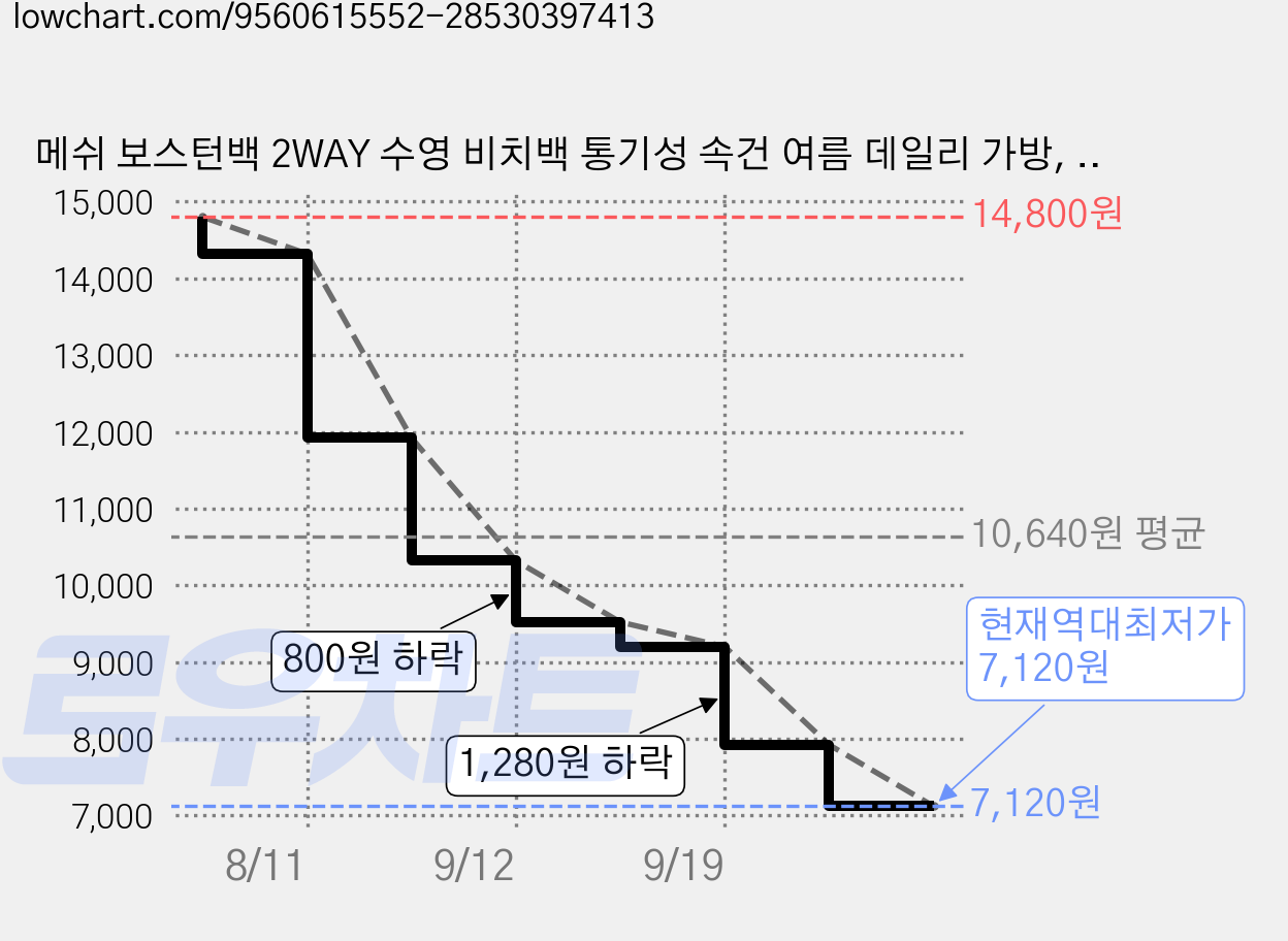 메쉬 보스턴백 2WAY 수영 비치백 통기성 속건 여름 데일리 가방, 1개, 녹색 메쉬 가방 가격 변동 차트, 현재가 7,120원, 역대최저가