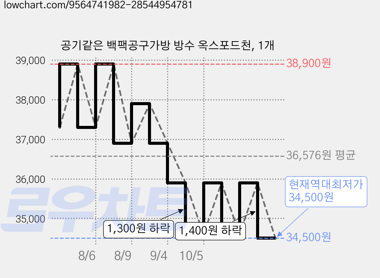 공기같은 백팩공구가방 방수 옥스포드천, 1개 가격 변동 차트, 현재가 34,500원, 역대최저가