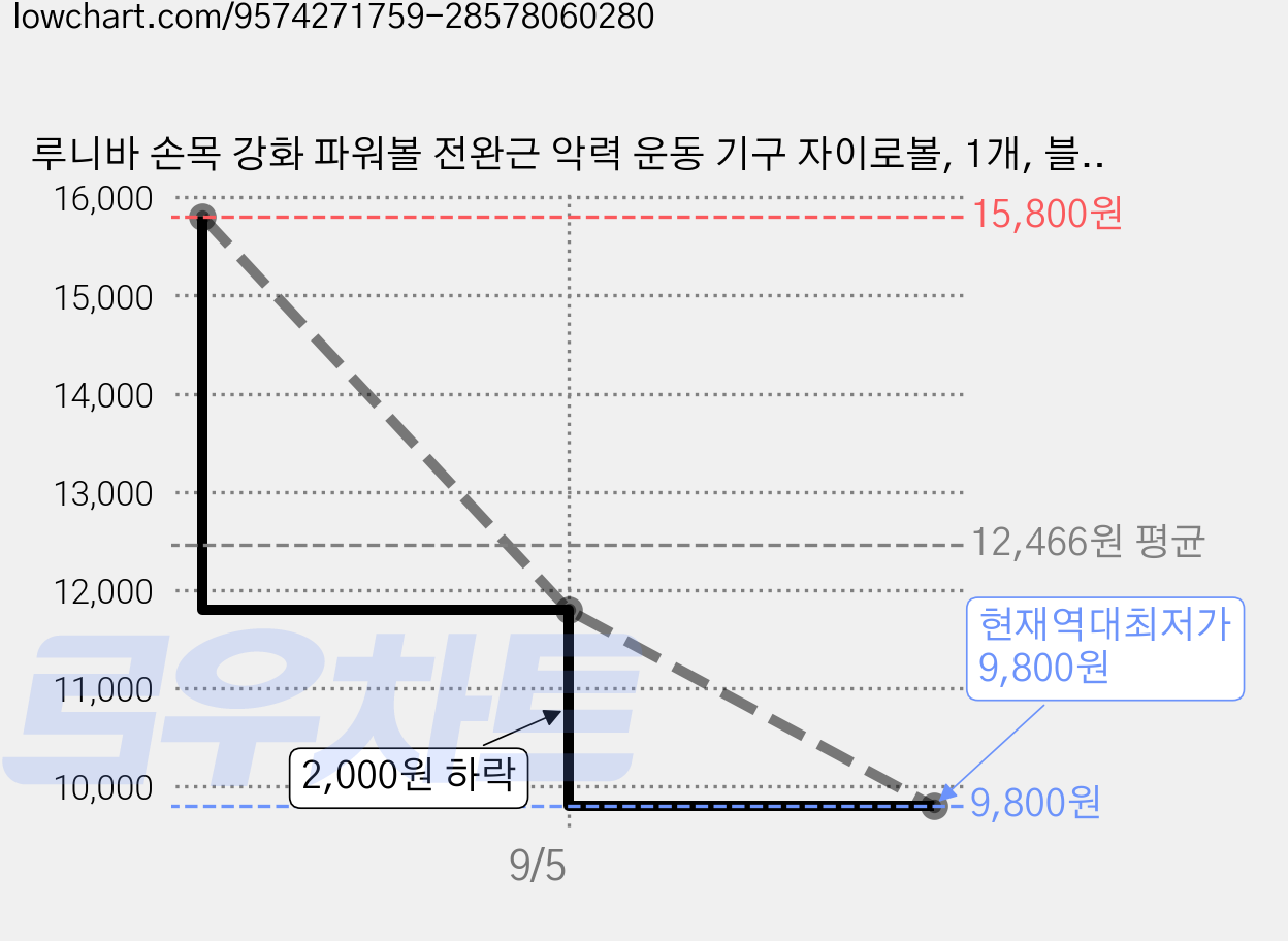 루니바 손목 강화 파워볼 전완근 악력 운동 기구 자이로볼, 1개, 블루 가격 변동 차트, 현재가 9,800원, 역대최저가