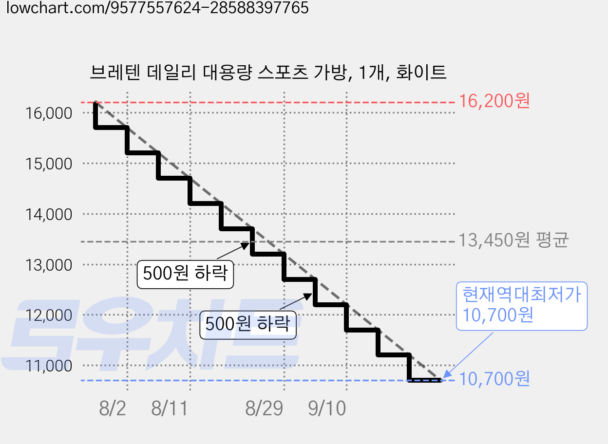 브레텐 데일리 대용량 스포츠 가방, 1개, 화이트 가격 변동 차트, 현재가 10,700원, 역대최저가