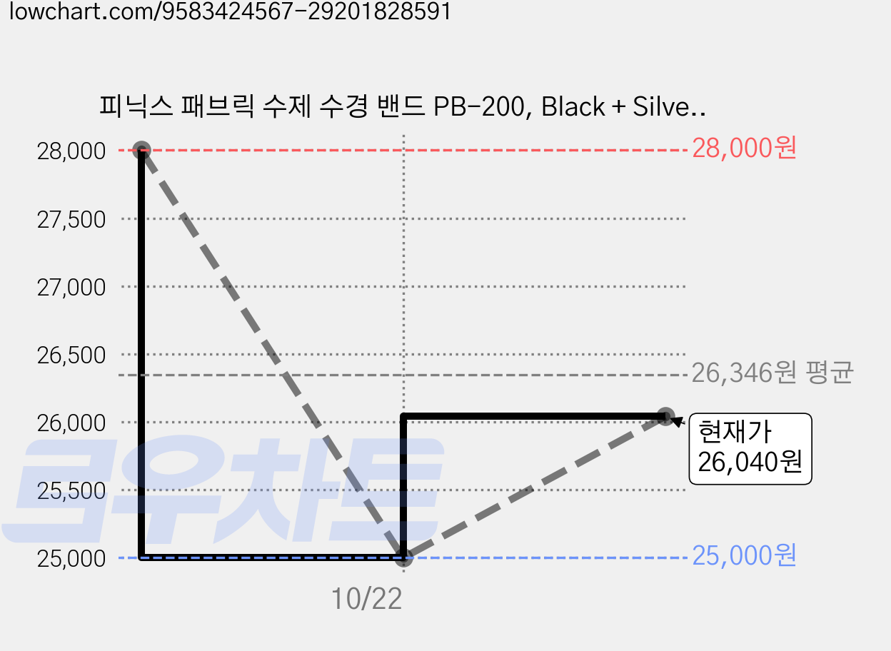 피닉스 패브릭 수제 수경 밴드 PB-200, Black + Silver, 4개 가격 변동 차트, 현재가 26,040원, 관측 최저가 25,000원