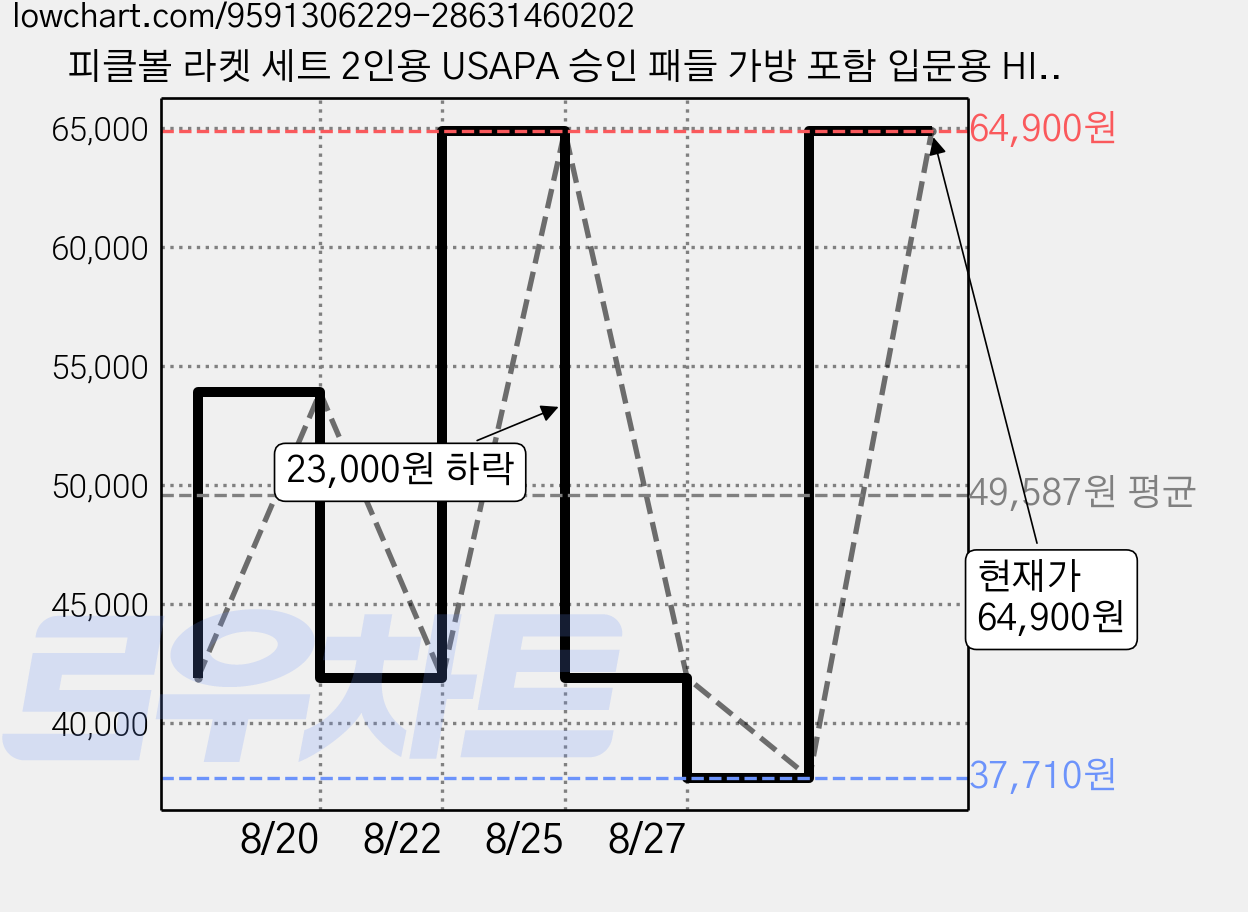 피클볼 라켓 세트 2인용 USAPA 승인 패들 가방 포함 입문용 HITTIONA HTN-X6, 1세트, 보라색, HTN-X6 세트 가격 변동 차트, 현재가 37,710원, 역대최저가