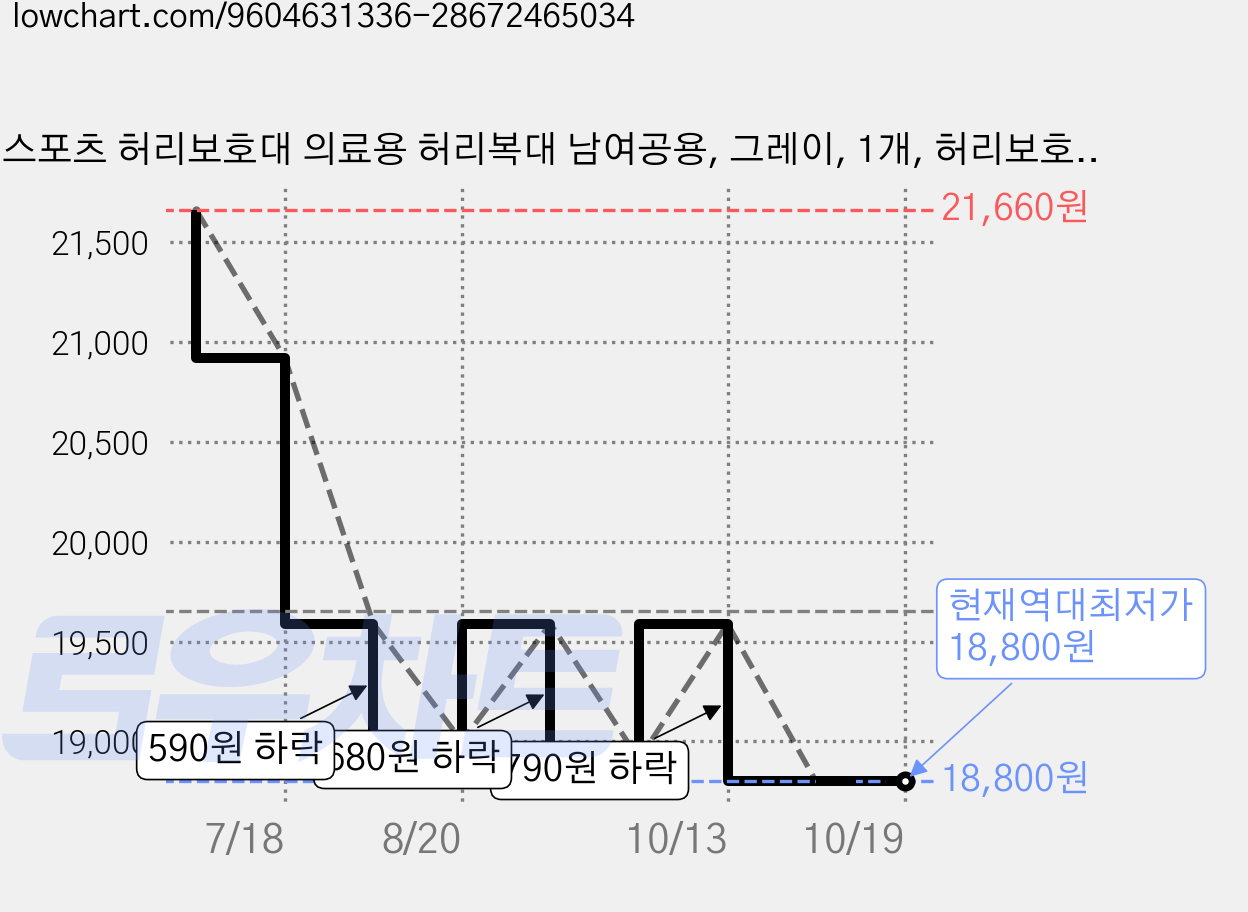 스포츠 허리보호대 의료용 허리복대 남여공용, 그레이, 1개, 허리보호대 LWB 그레이(28~37인치) 가격 변동 차트, 현재가 18,800원, 역대최저가
