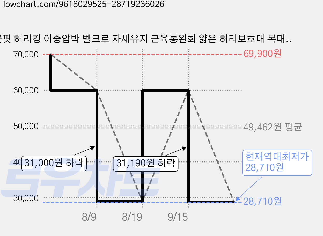 굿핏 허리킹 이중압박 벨크로 자세유지 근육통완화 얇은 허리보호대 복대, 1개 가격 변동 차트, 현재가 28,710원, 역대최저가