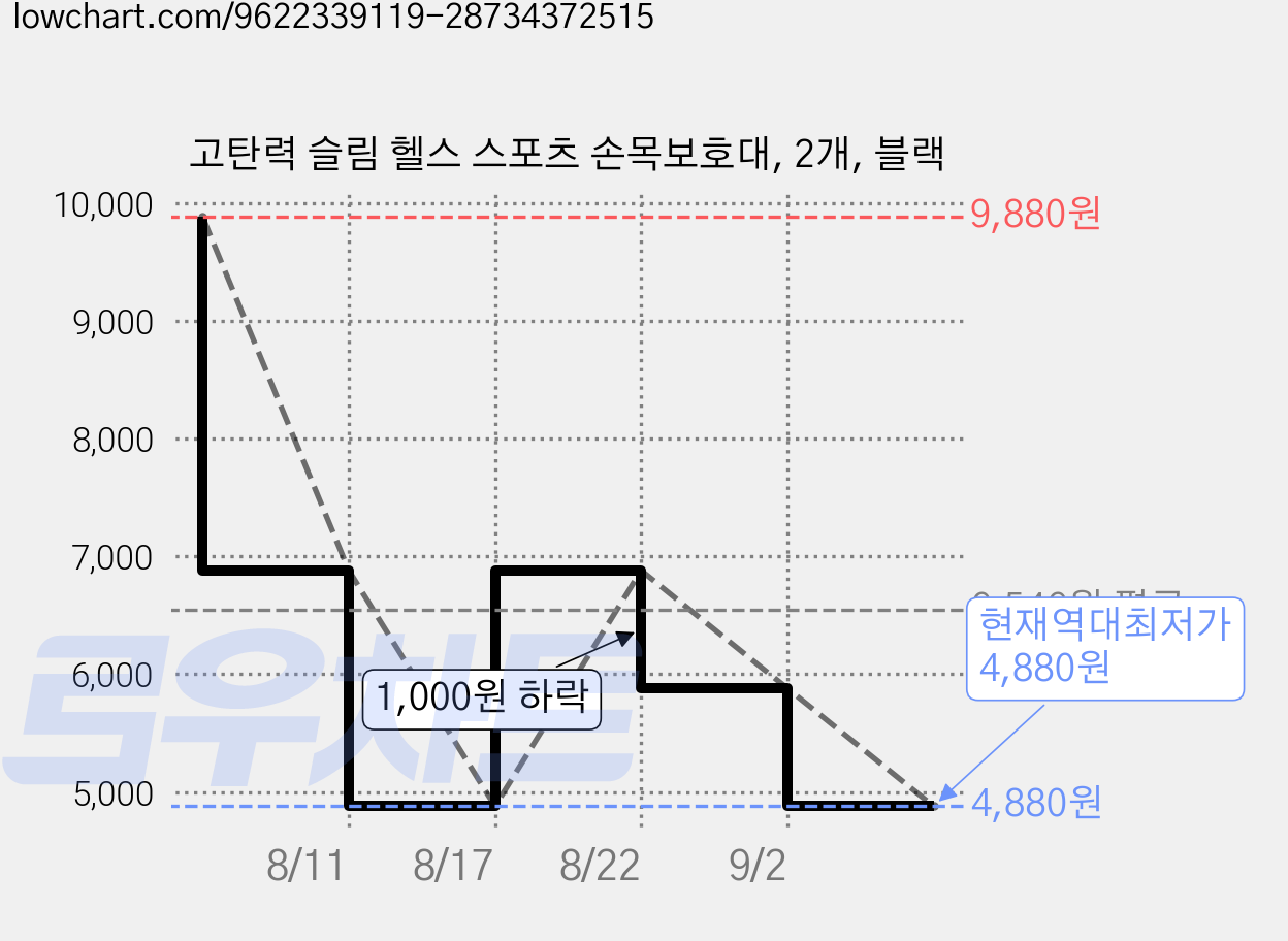 고탄력 슬림 헬스 스포츠 손목보호대, 2개, 블랙 가격 변동 차트, 현재가 4,880원, 역대최저가