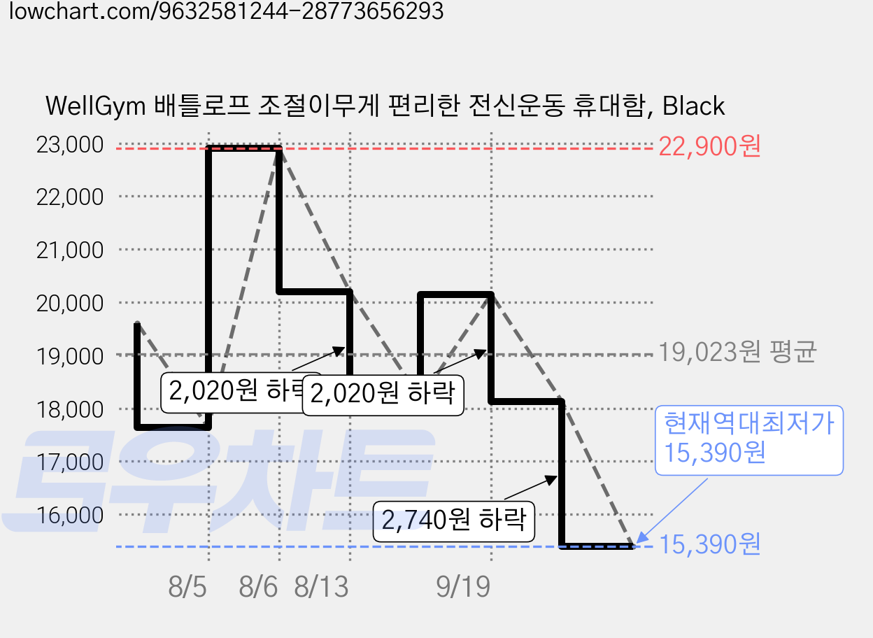 WellGym 배틀로프 조절이무게 편리한 전신운동 휴대함, Black 가격 변동 차트, 현재가 15,390원, 역대최저가