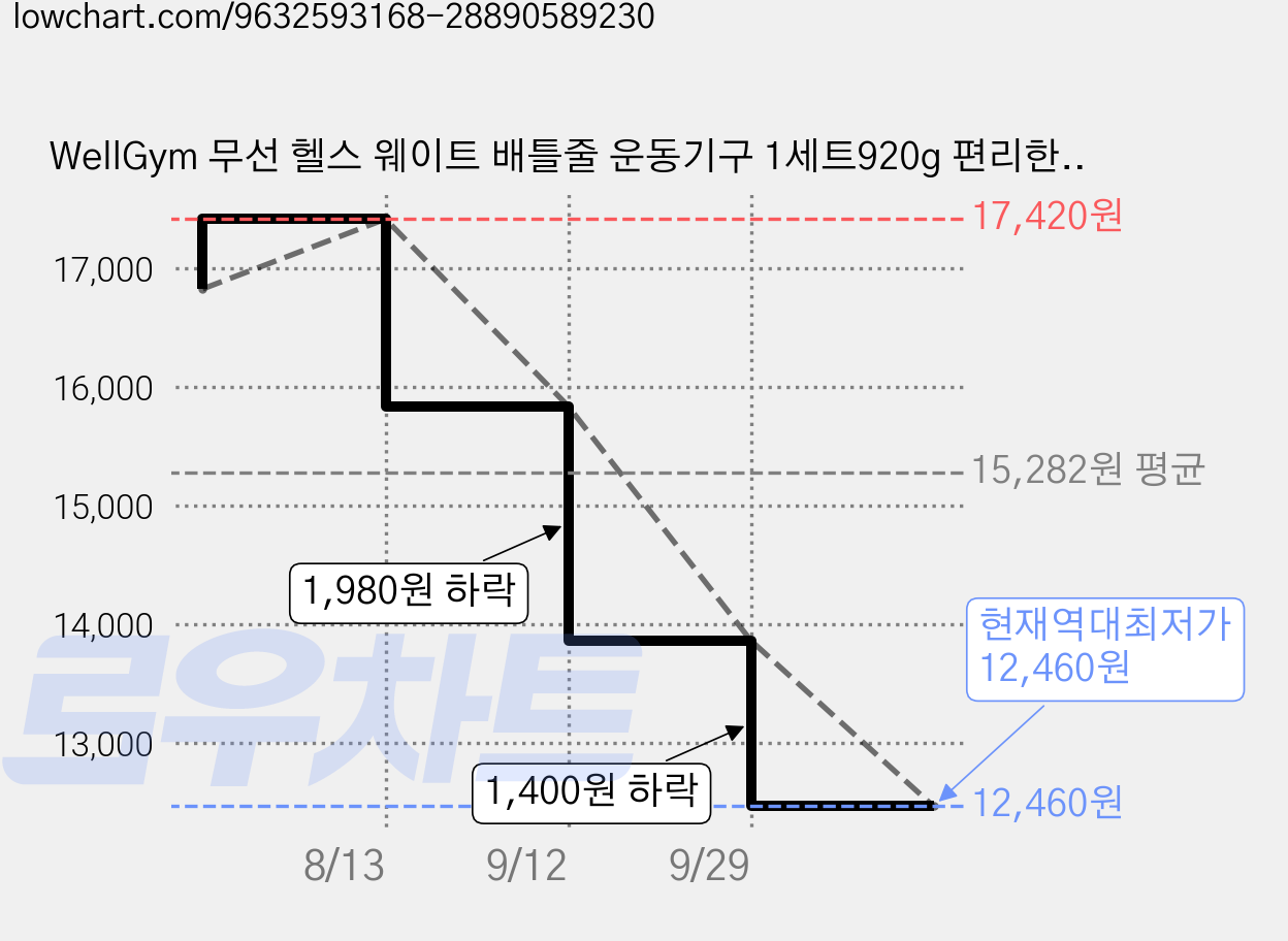 WellGym 무선 헬스 웨이트 배틀줄 운동기구 1세트920g 편리한 휴대함, Red 가격 변동 차트, 현재가 12,460원, 역대최저가