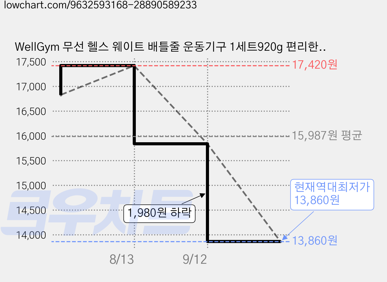 WellGym 무선 헬스 웨이트 배틀줄 운동기구 1세트920g 편리한 휴대함, Yellow 가격 변동 차트, 현재가 13,860원, 역대최저가