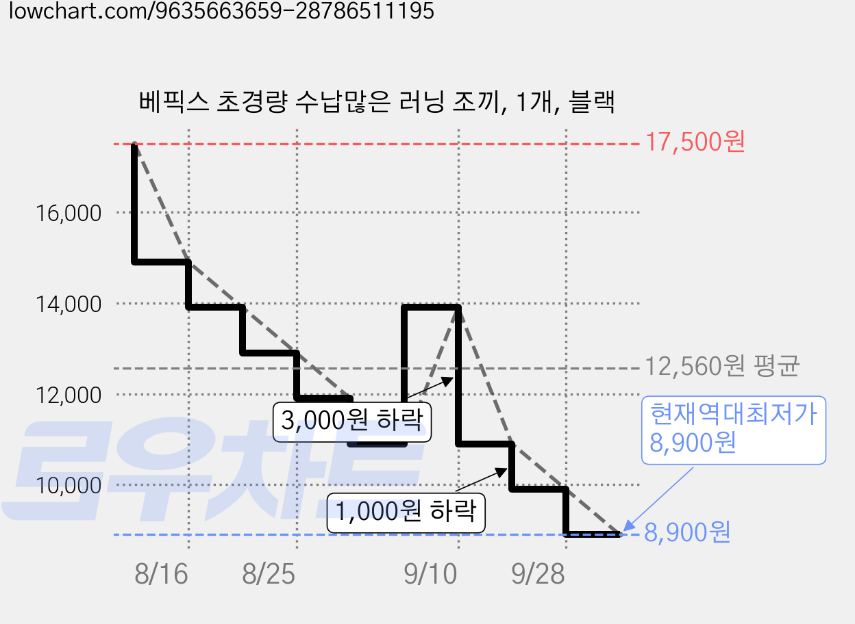 베픽스 초경량 수납많은 러닝 조끼, 1개, 블랙 가격 변동 차트, 현재가 8,900원, 역대최저가