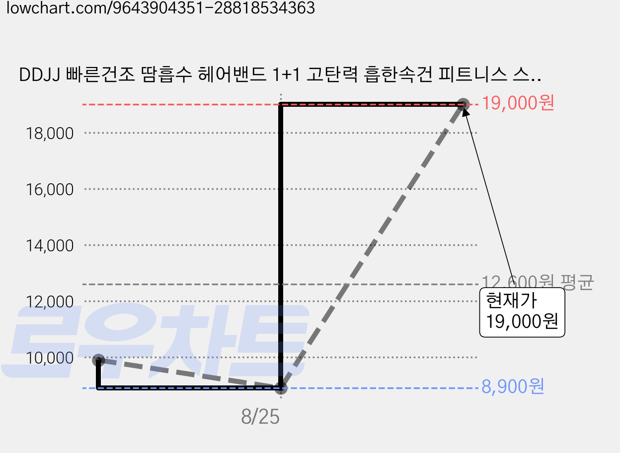 DDJJ 빠른건조 땀흡수 헤어밴드 1+1 고탄력 흡한속건 피트니스 스포츠 러닝 요가 운동 남녀공용, 블루+블랙, 1세트 가격 변동 차트, 현재가 19,000원, 관측 최저가 7,900원