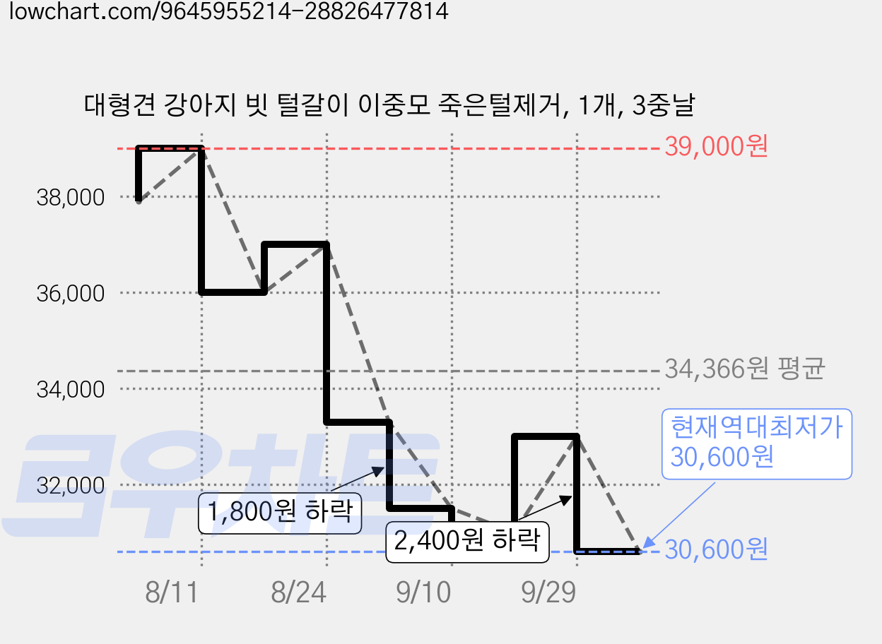 대형견 강아지 빗 털갈이 이중모 죽은털제거, 1개, 3중날 가격 변동 차트, 현재가 30,600원, 역대최저가