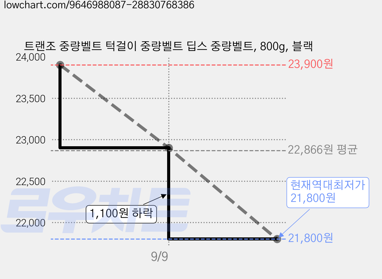 트랜조 중량벨트 턱걸이 중량벨트 딥스 중량벨트, 800g, 블랙 가격 변동 차트, 현재가 21,800원, 역대최저가