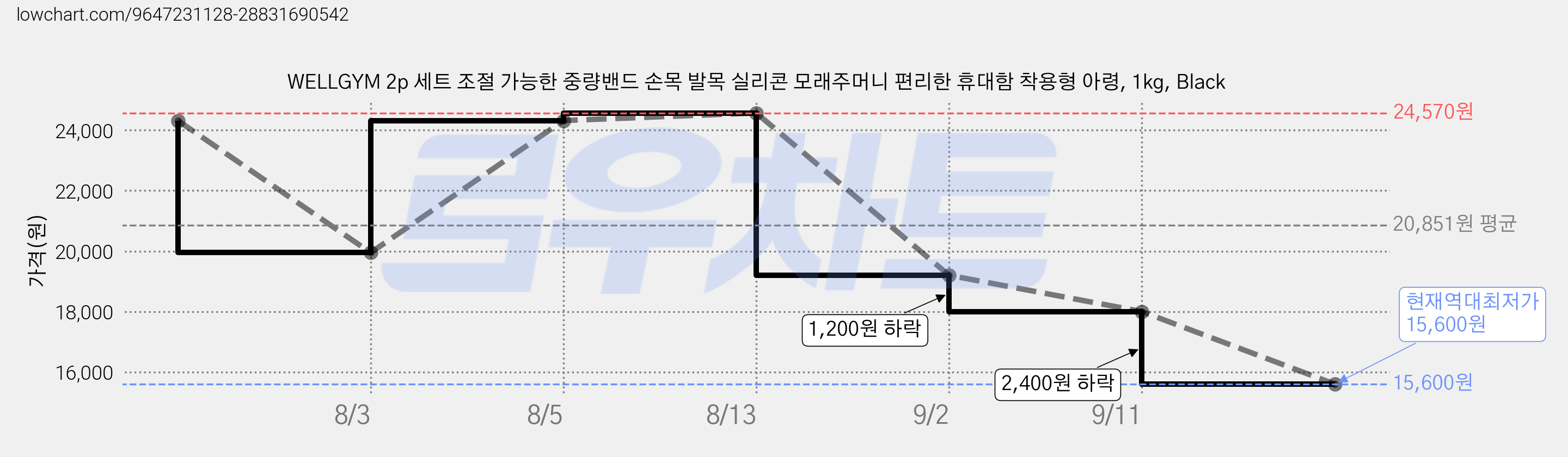 WELLGYM 2p 세트 조절 가능한 중량밴드 손목 발목 실리콘 모래주머니 편리한 휴대함 착용형 아령, 1kg, Black 가격 변동 차트, 현재가 15,600원, 역대최저가