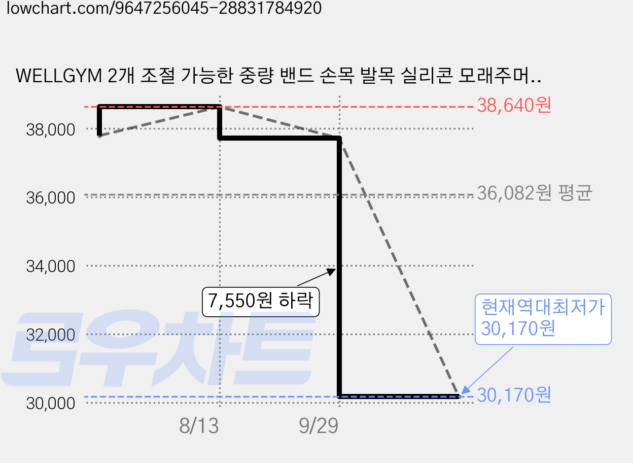 WELLGYM 2개 조절 가능한 중량 밴드 손목 발목 실리콘 모래주머니 편리한 휴대함 착용형 아령 다기능 요가, 2kg, Pink 가격 변동 차트, 현재가 30,170원, 역대최저가