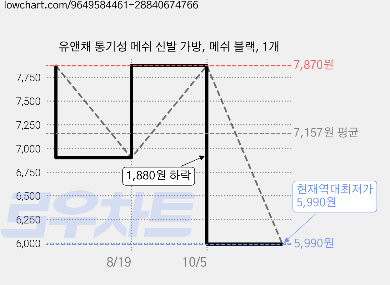 유앤채 통기성 메쉬 신발 가방, 메쉬 블랙, 1개 가격 변동 차트, 현재가 5,990원, 역대최저가