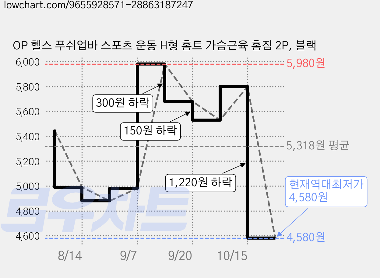 OP 헬스 푸쉬업바 스포츠 운동 H형 홈트 가슴근육 홈짐 2P, 블랙 가격 변동 차트, 현재가 4,580원, 역대최저가