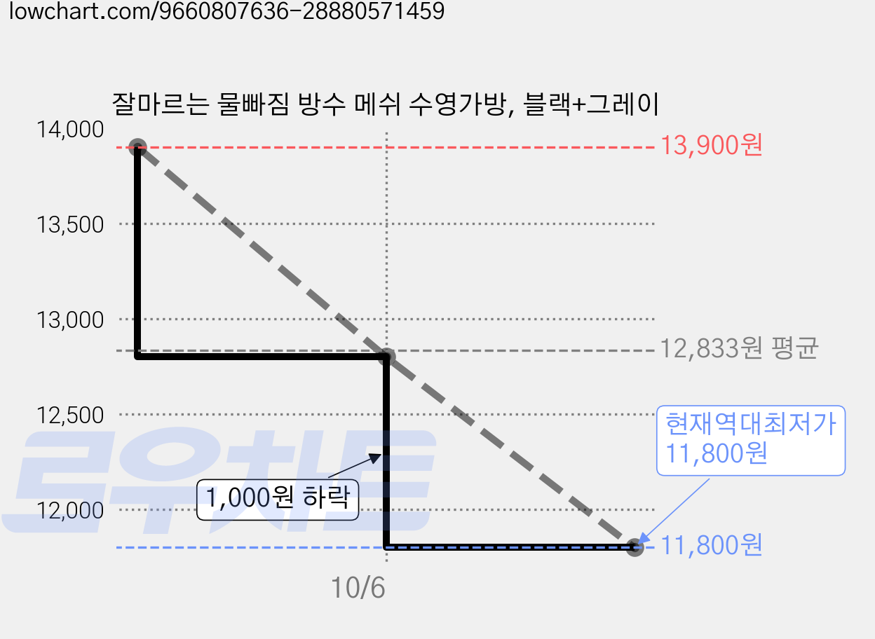 잘마르는 물빠짐 방수 메쉬 수영가방, 블랙+그레이 가격 변동 차트, 현재가 11,800원, 역대최저가