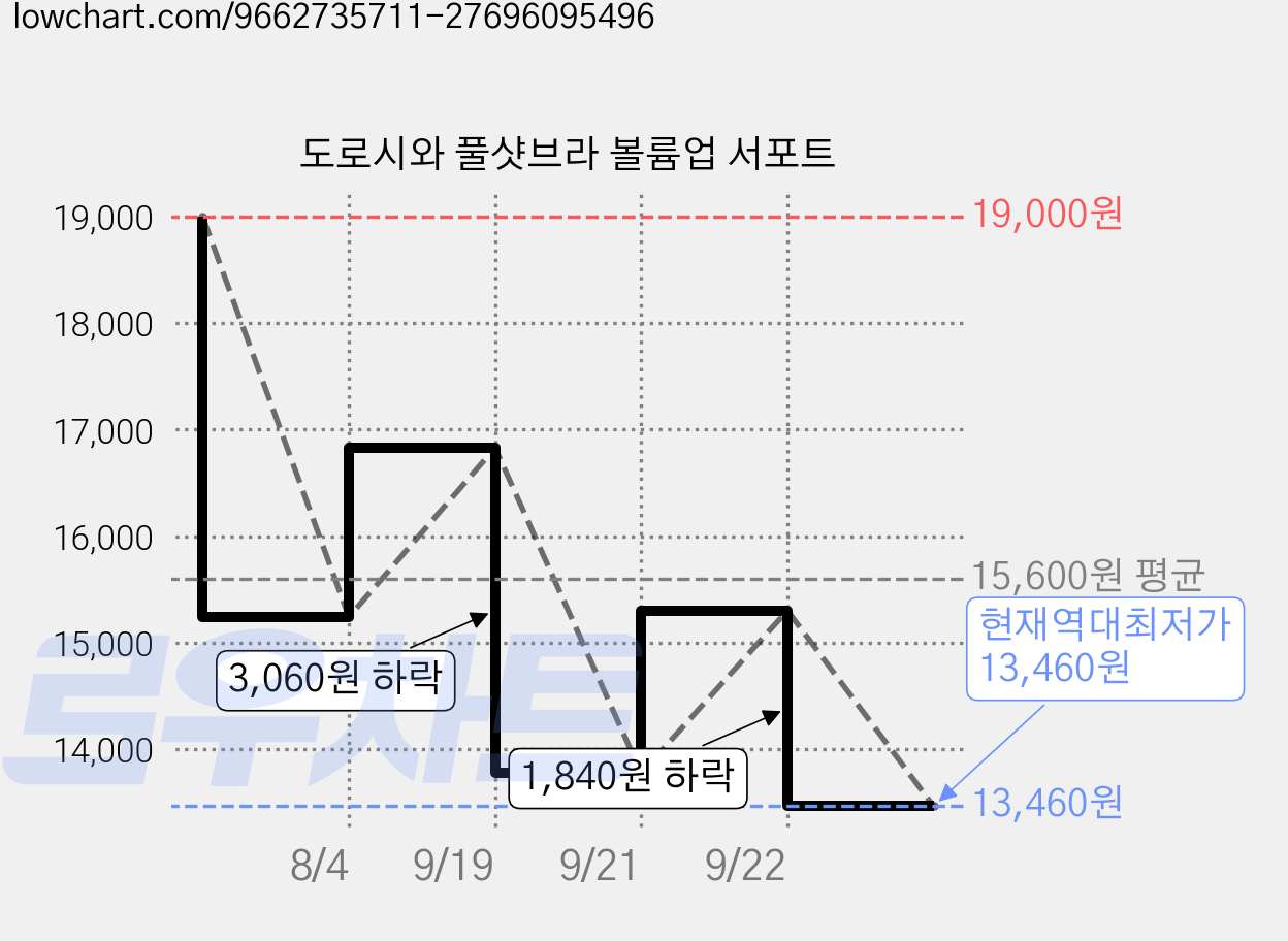 도로시와 풀샷브라 볼륨업 서포트 가격 변동 차트, 현재가 13,460원, 역대최저가