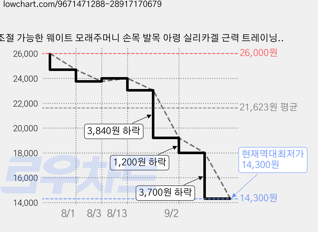 조절 가능한 웨이트 모래주머니 손목 발목 아령 실리카겔 근력 트레이닝 편리한 휴대함 다기능 요가, Black, 1kg 가격 변동 차트, 현재가 14,300원, 역대최저가