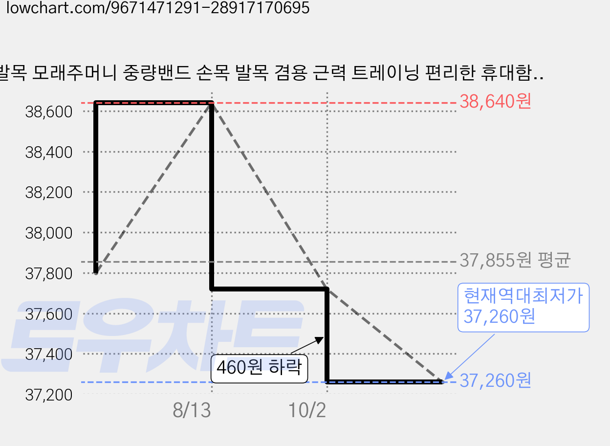 발목 모래주머니 중량밴드 손목 발목 겸용 근력 트레이닝 편리한 휴대함 러닝 2p 세트, Pink, 2kg 가격 변동 차트, 현재가 37,260원, 역대최저가